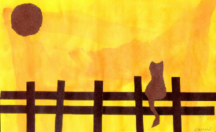Cat's Eye View